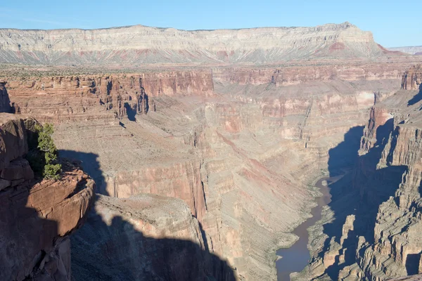 Toroweap Visão geral, ponto de vista dentro do Grand Canyon National Pa — Fotografia de Stock