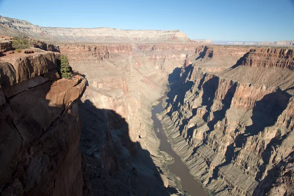 Toroweap Visão geral, ponto de vista dentro do Grand Canyon National Pa — Fotografia de Stock