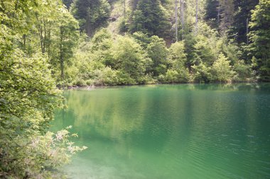 Lago di Tovel, Parco Naturale Adamello-Brenta