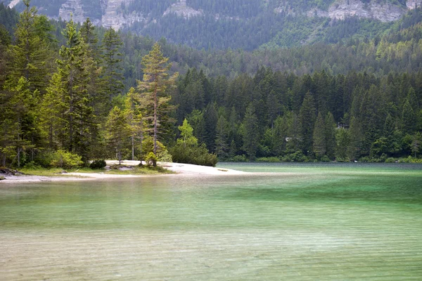 Lago di Tovel, Parco Naturale Adamello-Brenta — Stock Photo, Image