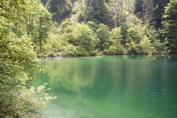 Lago di tovel, naturpark adamello-brenta — Stockfoto