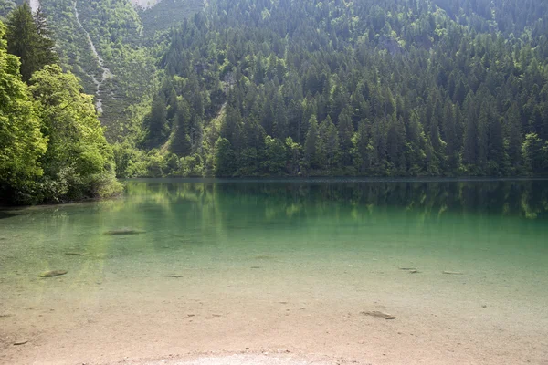 Lago di Tovel, Parco Naturale Adamello-Brenta — 스톡 사진