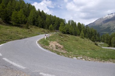 The Stelvio Pass, mountain pass in northern Italy, at an elevati