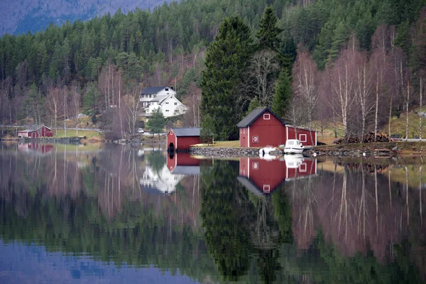 Fjord norvégien — Photo