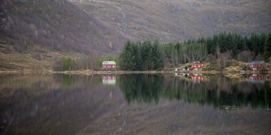 Norveççe fiyort