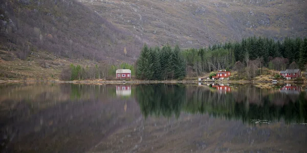 Fjord norvégien — Photo