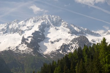 Adamello brenta doğal park