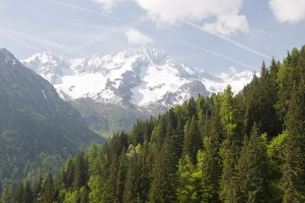 Parque Natural Adamello Brenta — Foto de Stock