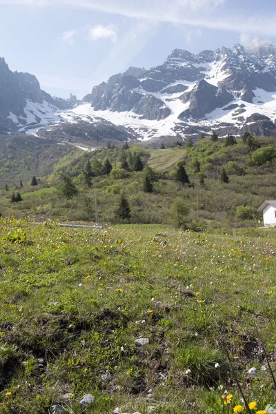 Parque Natural Adamello Brenta — Foto de Stock