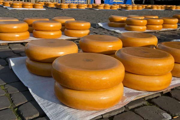 Gouda Cheese Market — Stock Photo, Image