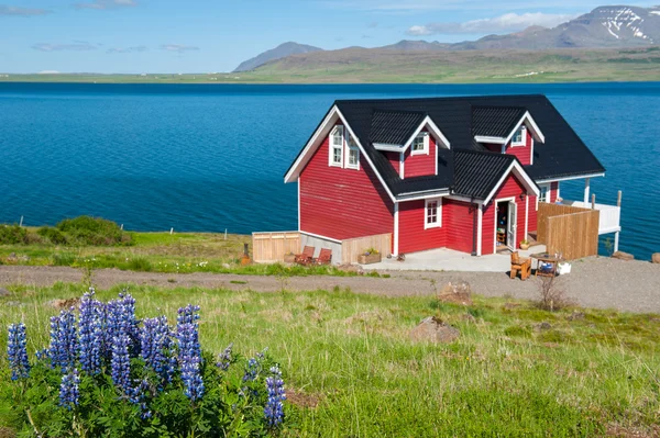 Hvalfjordur, Islandia — Foto de Stock