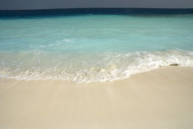 Maldiv Adası