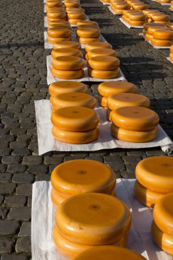 Gouda peyniri market