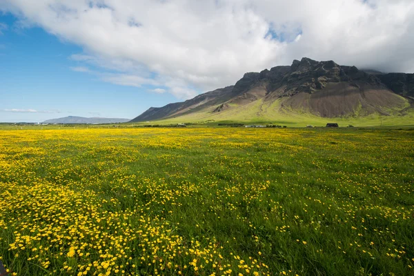 Reykjanes schiereiland in de zomer — Stockfoto
