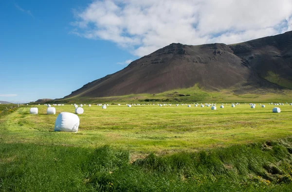 Reykjanes schiereiland in de zomer — Stockfoto