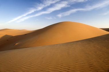 Abu Dabi çöl