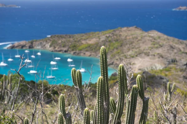 St. Barth Island, French West Indies, Caribische zee — Stockfoto