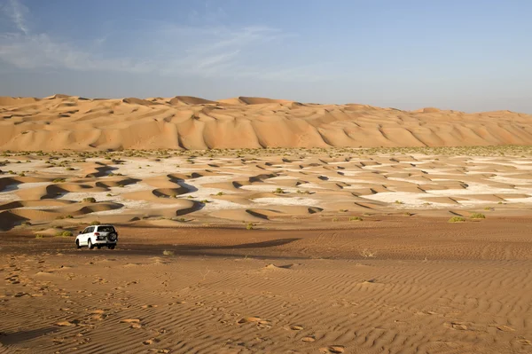 Deserto de Abu Dhabi — Fotografia de Stock