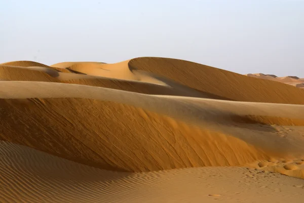 Abu dhabi desert — Stock fotografie