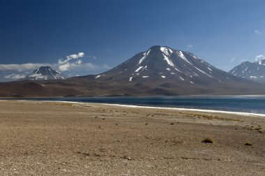 Laguna Altiplanica, Atacama Çölü, Şili