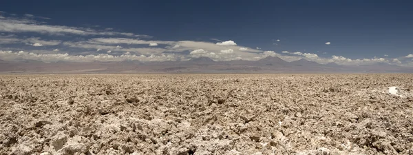 Laguna Altiplanica, έρημος Atacama, ΧΙΛΗ — Φωτογραφία Αρχείου