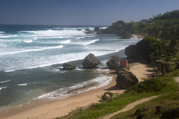 Barbados ostrov, Karibské moře — Stock fotografie