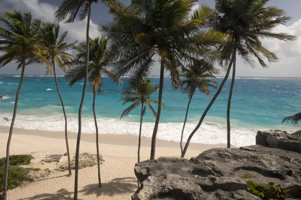 Isole Barbados, Mar dei Caraibi — Foto Stock