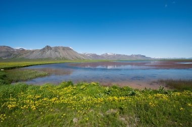 snaefellsnes Yarımadası