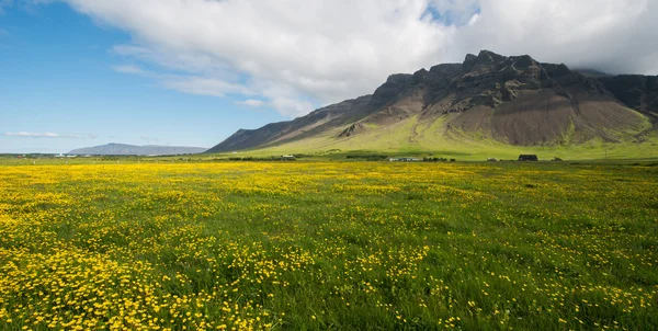 Reykjanes Yarımadası