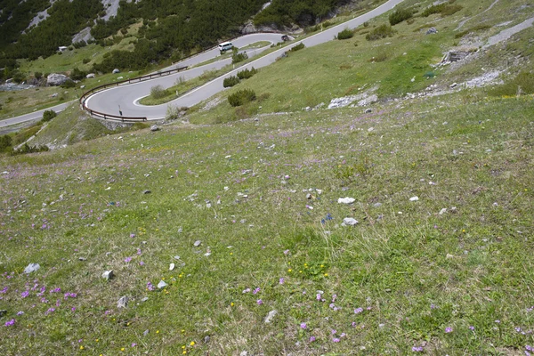 Stelvio Pass — Stockfoto