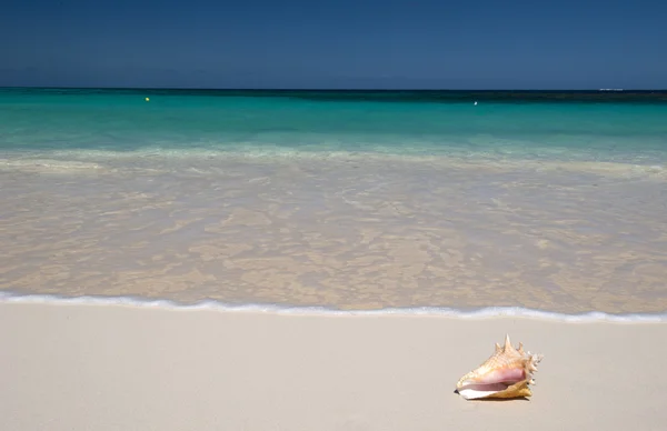 Anguilla Adası, İngilizce Karayip Adası
