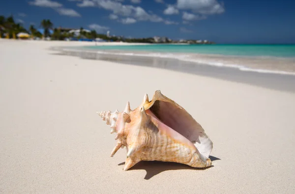 Anguilla (eiland), Engels Caribische eiland — Stockfoto