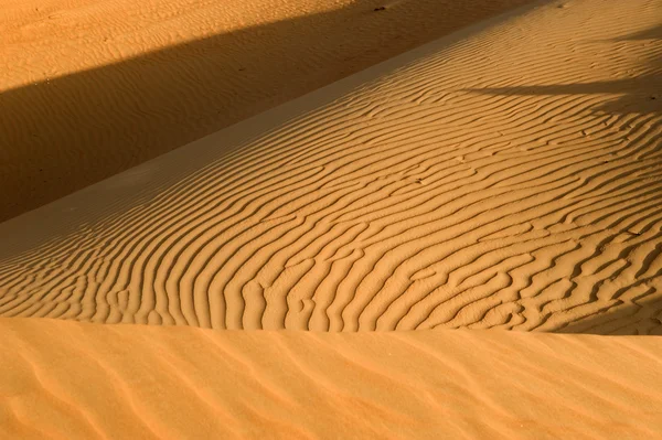 Абу-Дабі пустелі — стокове фото