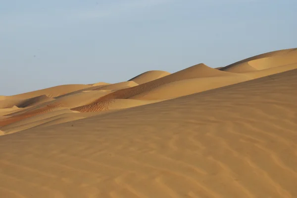 Deserto de Abu Dhabi — Fotografia de Stock