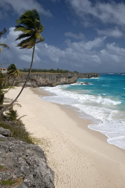 Barbade, Mer des Caraïbes — Photo