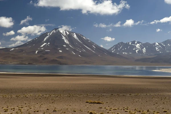 Laguna Altiplanica, deserto di Atacama, Cile — Foto Stock