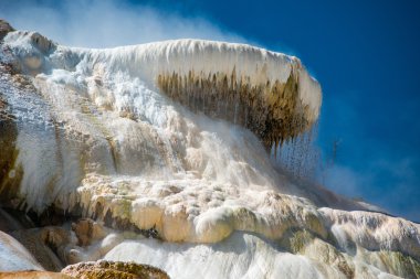 Mamut kaplıca, Yellowstone Milli Parkı
