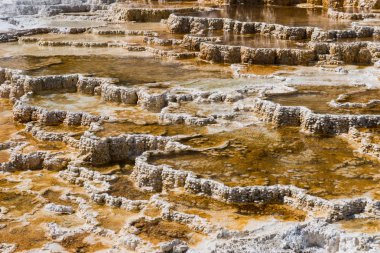 Mamut kaplıca, Yellowstone Milli Parkı