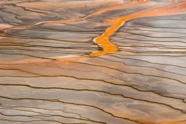 Grand Prizmatik Bahar, Yellowstone Milli Parkı, Wyoming