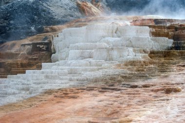 Mamut kaplıca, Yellowstone Milli Parkı