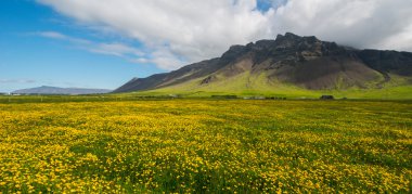 Reykjanes Yarımadası