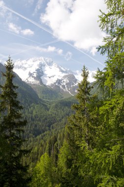 Adamello brenta doğal park