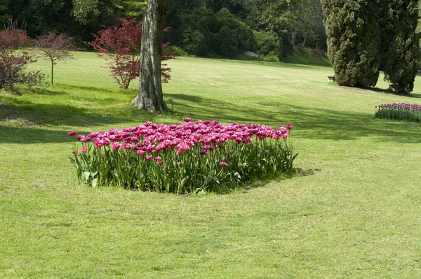 Parque Sugurta, Veneto, Italia — Foto de Stock