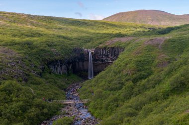 Svartifoss şelale, Skaftafell Milli Parkı, İzlanda
