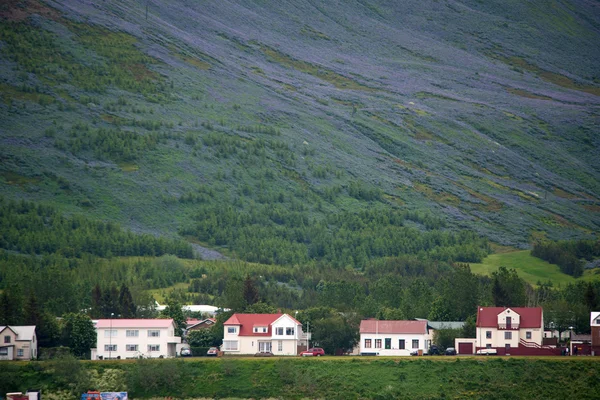 İzlanda panorama — Stok fotoğraf
