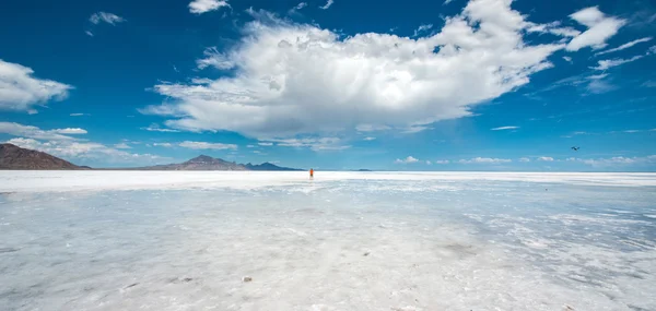 Bonneville tuz daireler, Utah