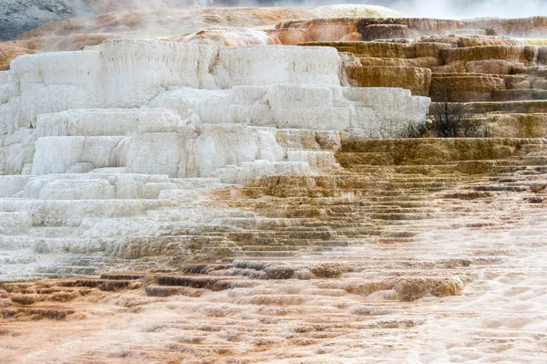 Горячий источник Мамонт, Йеллоустонский национальный парк — стоковое фото