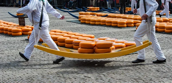 Gouda peynir pazarı, Hollanda