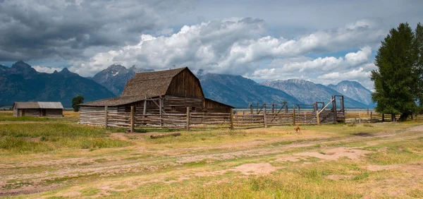 Grand Teton nationalpark — Stockfoto