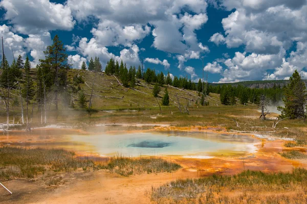 Natural hot spring, Yellowstone National Park — Stock Photo, Image